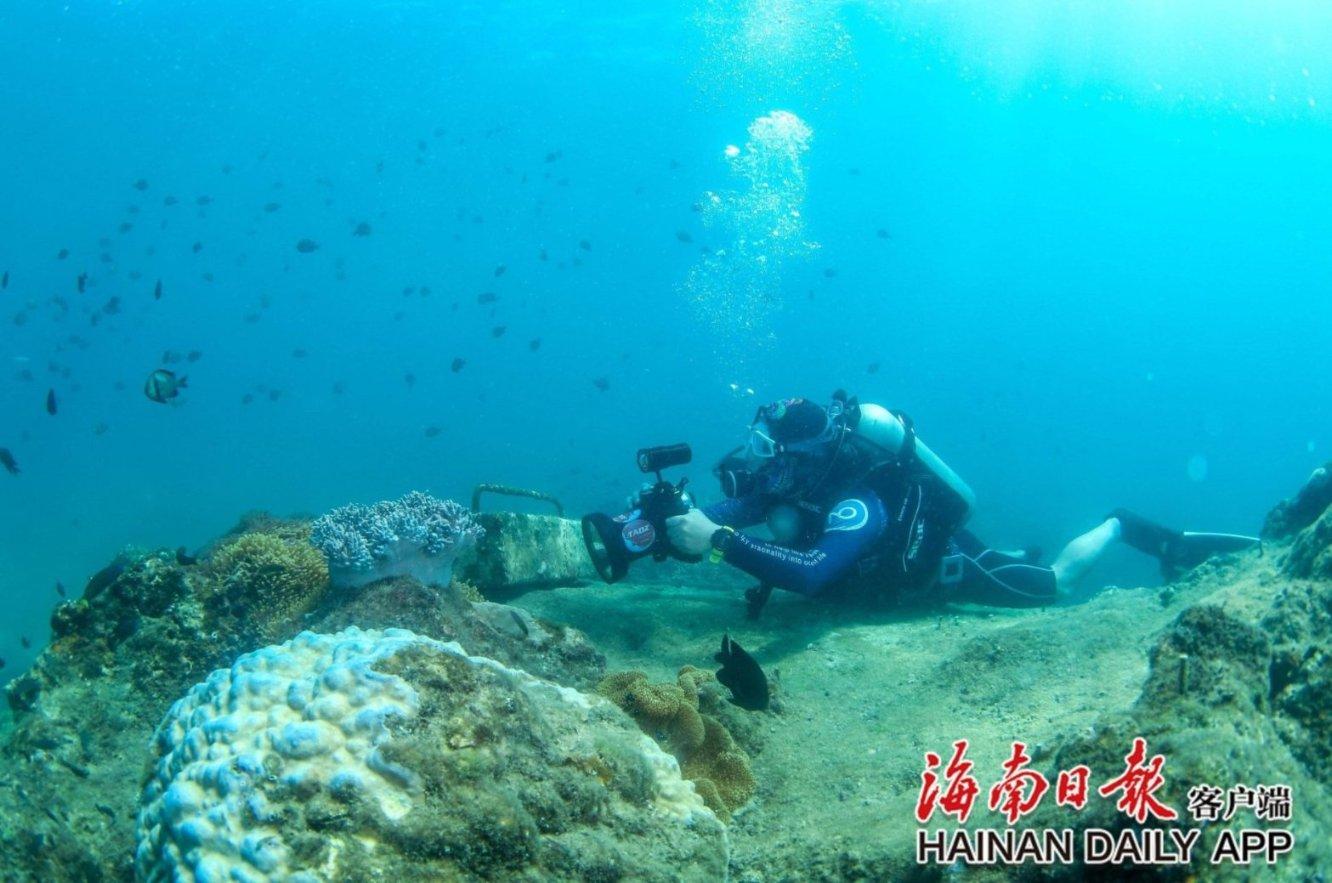 表情大乱斗